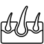 image de la spécialité