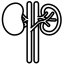 image de la spécialité