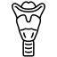 image de la spécialité
