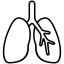 image de la spécialité